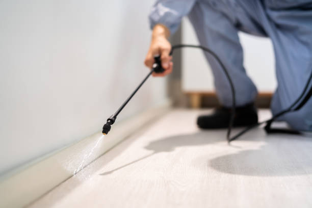 Licensed Fumigation Services service in Piney Mountain, VA - Nex Pest Control