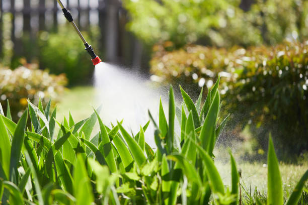 24/7 Emergency Fumigation Services experts in Piney Mountain, VA
