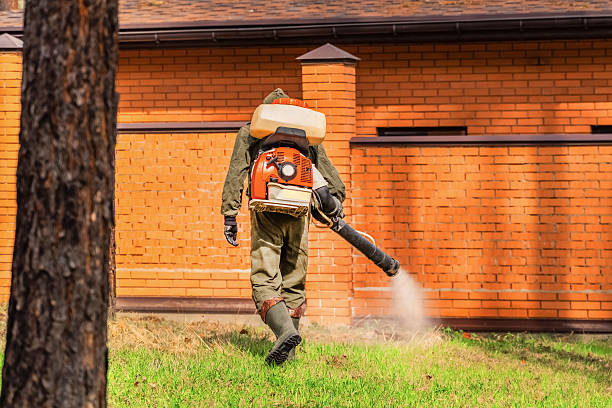 Top rated local Fumigation Services specialists in Piney Mountain, VA